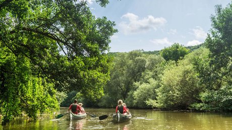 Ferien in der Eifel: ein erster Einblick Zwei Kanus mit Menschen paddeln auf ruhigem Fluss umgeben von grünem Wald