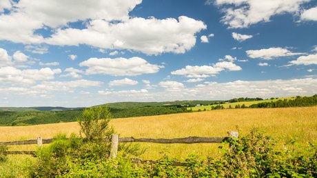 Ferien in der Eifel: ein erster Einblick Felder mit Hecken und Holzzaun unter einem blauen Himmel mit weißen Wolken