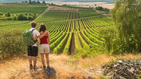 Ferien in der Eifel: ein erster Einblick Paar steht auf Hügel und blickt auf grüne Weinberge in ländlicher Landschaft