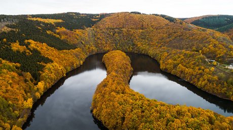 Ferien in der Eifel: ein erster Einblick Herbstliche Flussbiegung in bewaldeter Landschaft aus der Luft aufgenommen