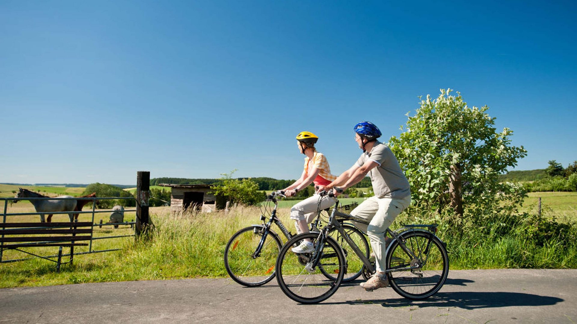 Erlebe die Eifel mit dem Fahrrad – Natur, Freiheit & Komfort Zwei Personen radeln auf Landstraße neben Weide mit Pferden bei klarem Himmel