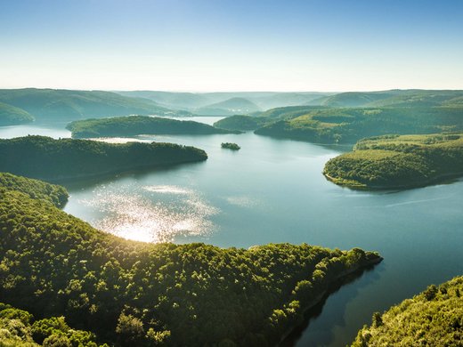 Von der Ferienwohnung Schleiden-Gemünd in den Nationalpark Luftaufnahme eines großen, von Wald bedeckten Stausees mit leuchtendem Wasser
