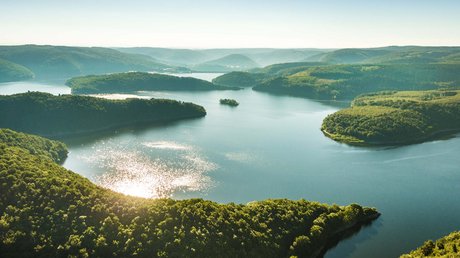 Ferien in der Eifel: ein erster Einblick Luftaufnahme eines großen, von Wald bedeckten Stausees mit leuchtendem Wasser