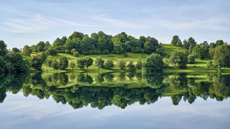 Ferien in der Eifel: ein erster Einblick Grüne Hügel mit Bäumen spiegeln sich im ruhigen See unter blauem Himmel