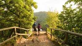 Eifel-Urlaub: Insidertipps aus Gemünd Zwei Wanderer stehen auf einem Holzweg und blicken ins bewaldete Tal mit Fluss