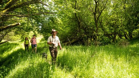 Ferien in der Eifel: ein erster Einblick Wanderer mit Hund und Führer gehen durch einen sonnigen Waldweg mit grünem Gras.