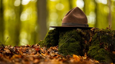 Ferien in der Eifel: ein erster Einblick Brauner Hut liegt auf moosbedecktem Baumstumpf im Wald mit Laub am Boden