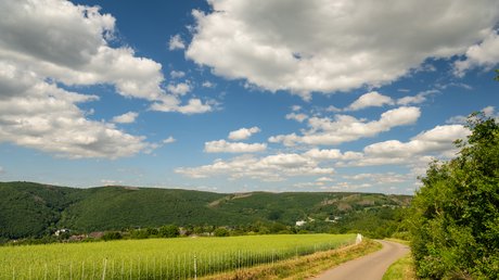 Ferien in der Eifel: ein erster Einblick Landstraße, die an grünen Feldern unter einem teils bewölkten blauen Himmel vorbeiführt