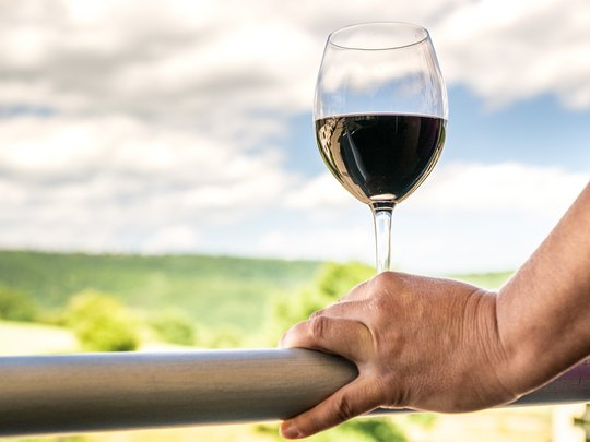 Ferienwohnungen in Gemünd mit dem gewissen Extra Hand hält Weinglas mit Rotwein auf einem Metallgeländer bei Tageslicht