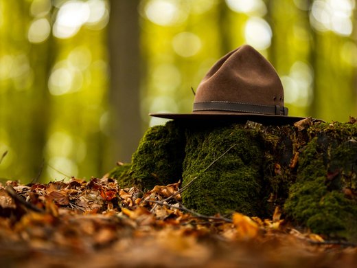 Holidays in the Eifel region: Want a change of pace? Brown hat resting on moss-covered tree stump in forest with fallen leaves